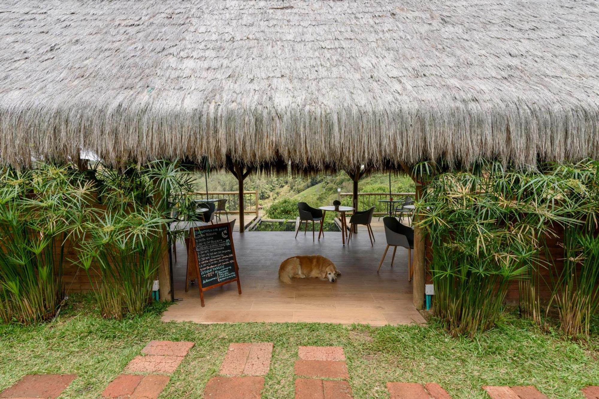 Levit Glamping - Hotel Guatape Penol (Adults Only) Ngoại thất bức ảnh