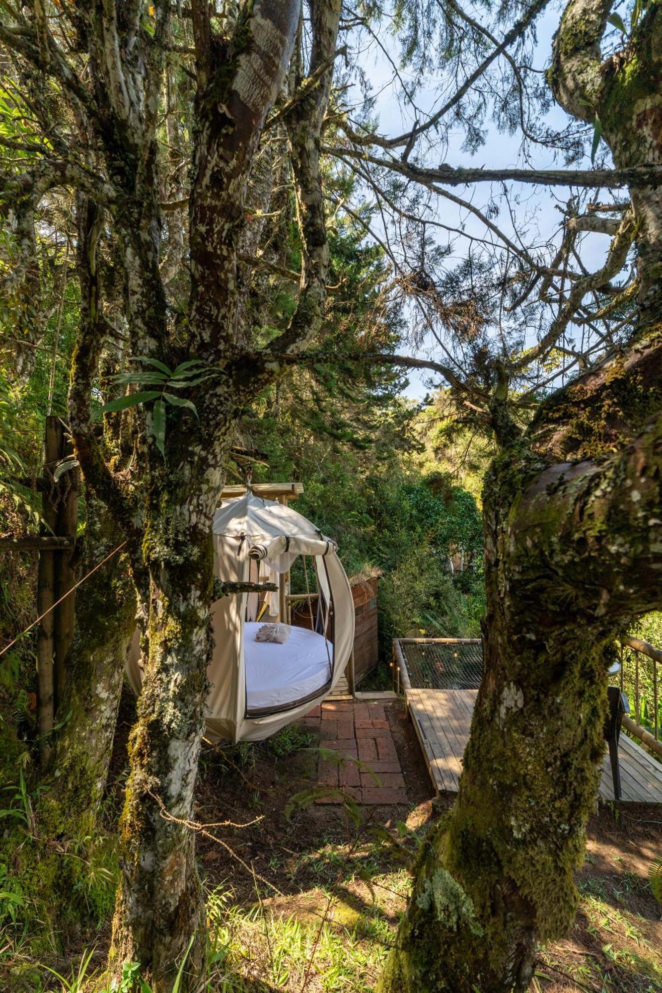Levit Glamping - Hotel Guatape Penol (Adults Only) Ngoại thất bức ảnh
